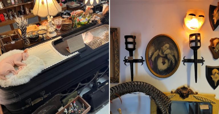 This Washington Horror-Themed Thrift Shop Feels Like A Wonderland Of Dark Art