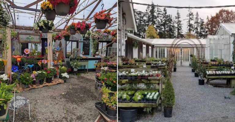 This Washington Nursery Hides An 1888 Schoolhouse Inside A Rose Garden
