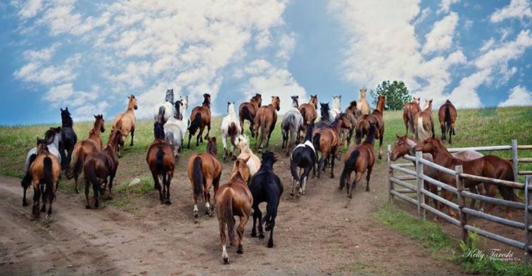 This Washington Ranch Lets You Swap Your Daily Routine For A Real Cowboy Adventure