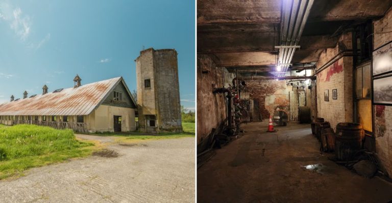 This Washington Road Trip Leads To Eerie Abandoned Sites