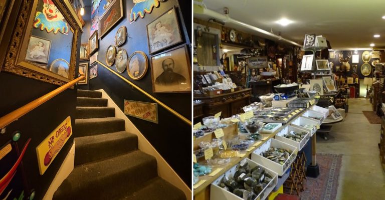 This Washington Shop Feels Like An Invitation Into A Collector’s Strangest Dreams