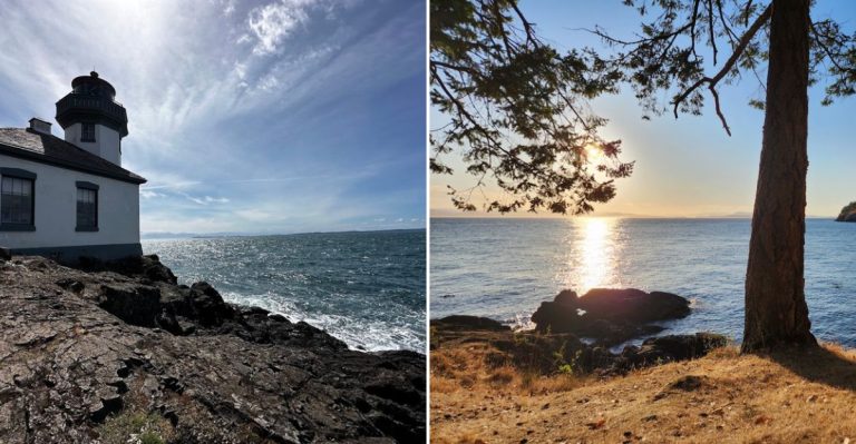 This Washington State Park Lets You Watch Wild Orcas From Shore (No Boat Needed)