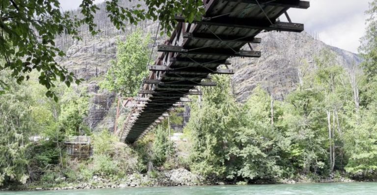 This Washington Suspension Bridge Opens Into A Forest Of Ancient Cedar Giants