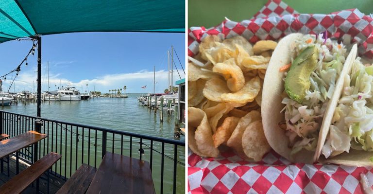 This Waterfront Cafe In Florida Serves Fish Tacos Worth Driving Across The State For