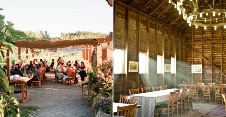 This Whidbey Island Orchard Offers What Might Be Washington’s Most Magical Dining Experience