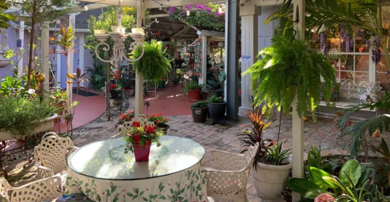 This Whimsical Tea Room In Florida Feels Like Stepping Inside A Storybook