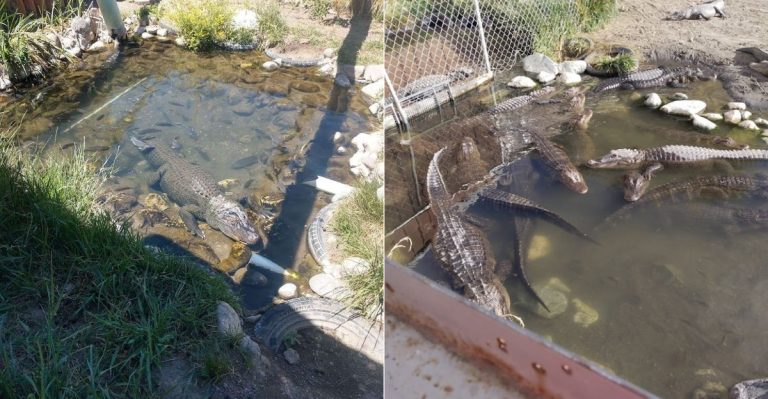 This Wild Colorado Stop Turns A Simple Day Trip Into Something Memorable