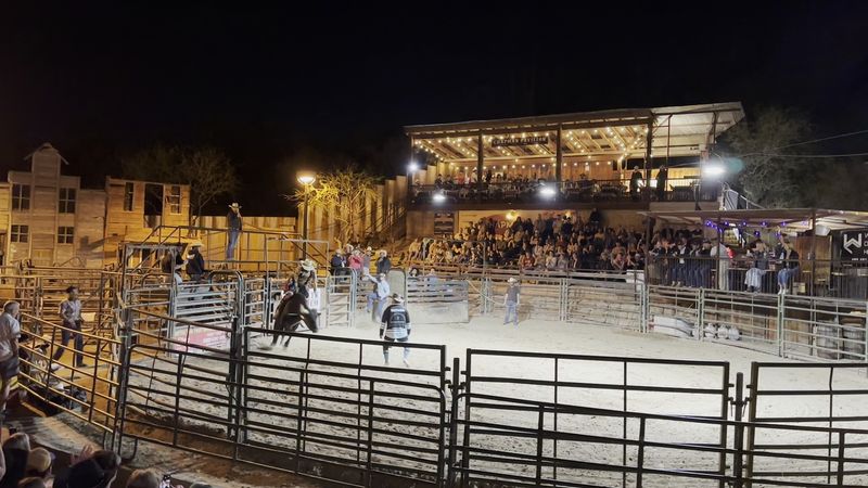 Authentic Bull Riding Action