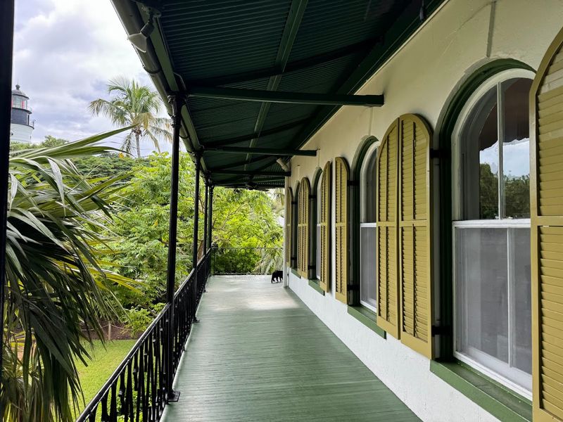 Over 60 Polydactyl Cats Roam The Property Freely