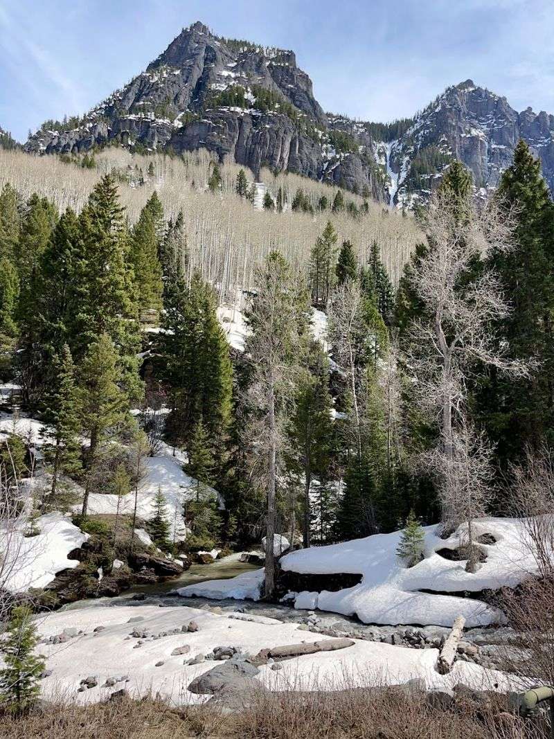 Thistledown Campground — Yankee Boy Basin Area