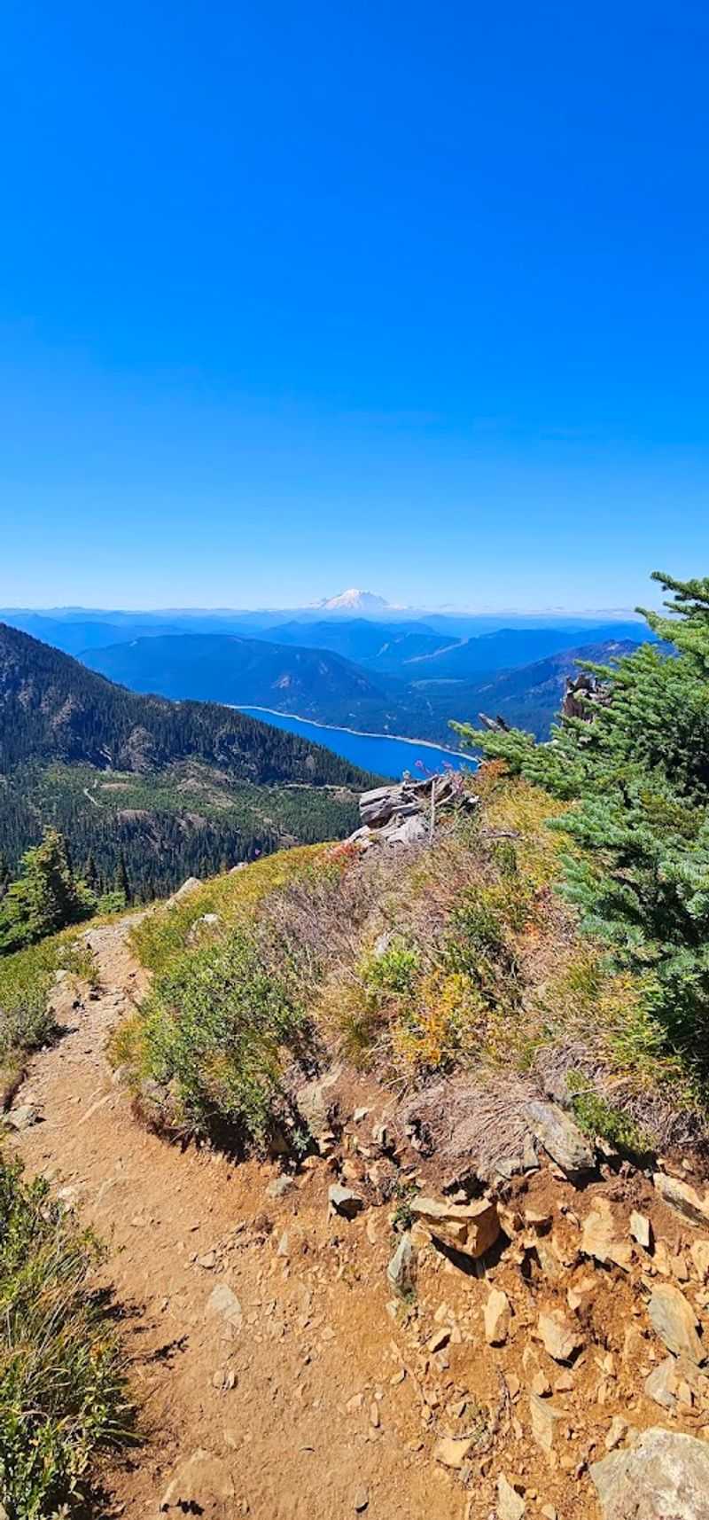 Thorp Mountain Trail