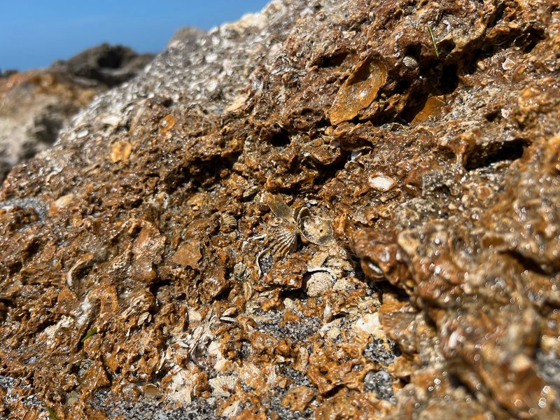 Those Little Black Triangles Are Older Than You Can Fathom