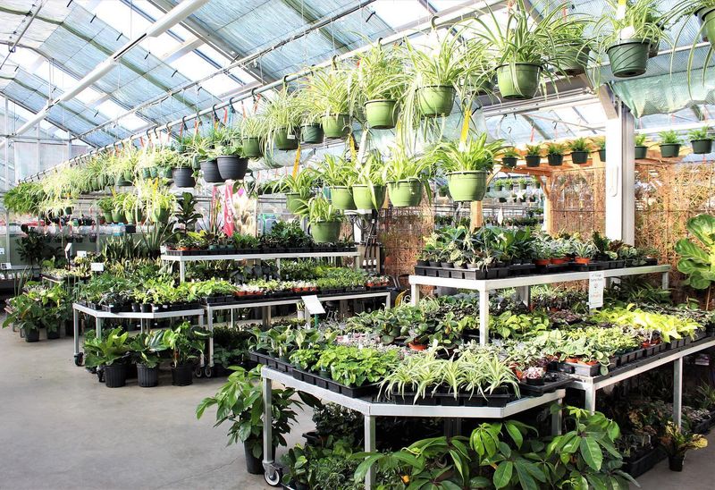 Thousands Of Plant Varieties Under One Roof Thousands Of Plant Varieties Under One Roof