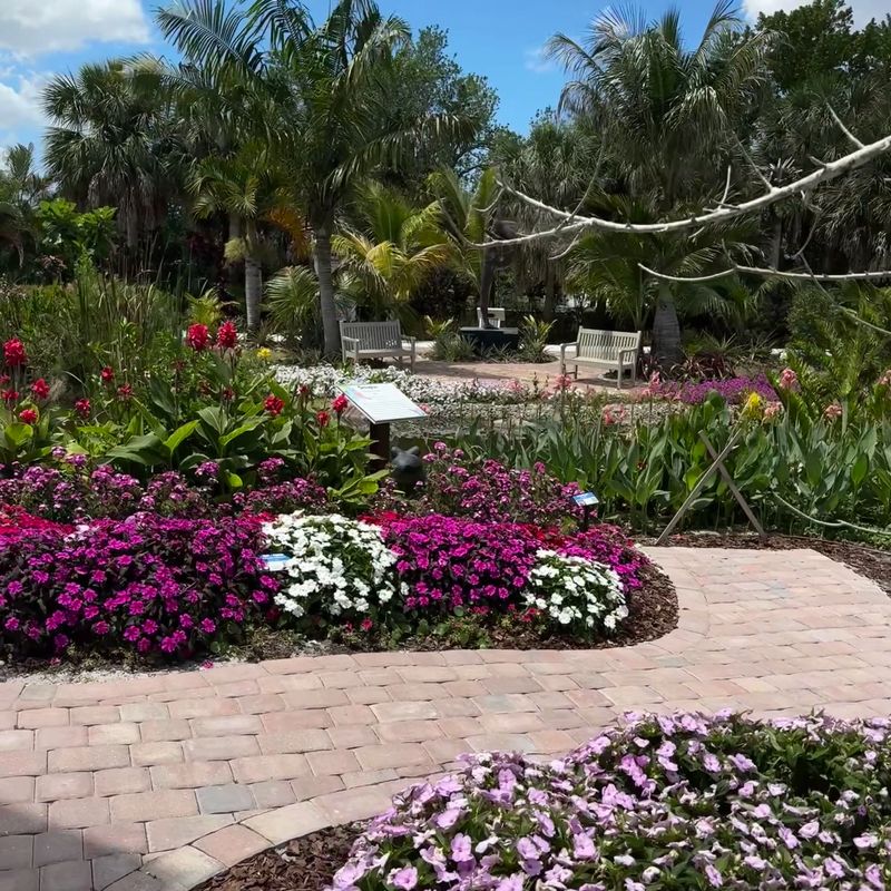 Thousands Of Plants And Curious Blooms