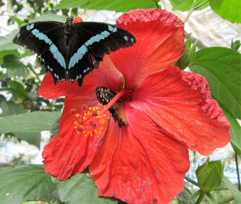 Interactive Encounters That Feel Personal