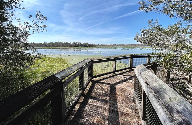 Three Boardwalks And A Whole Lot Of Lake