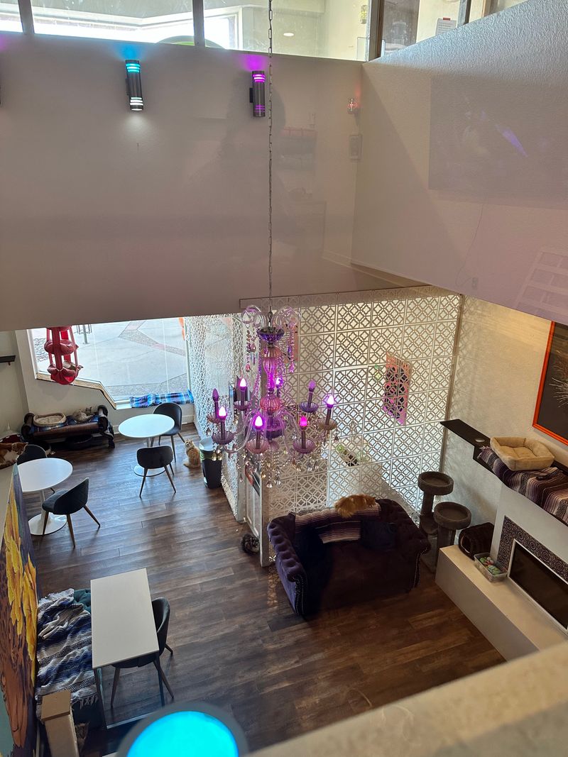 Coffee That Actually Tastes Amazing