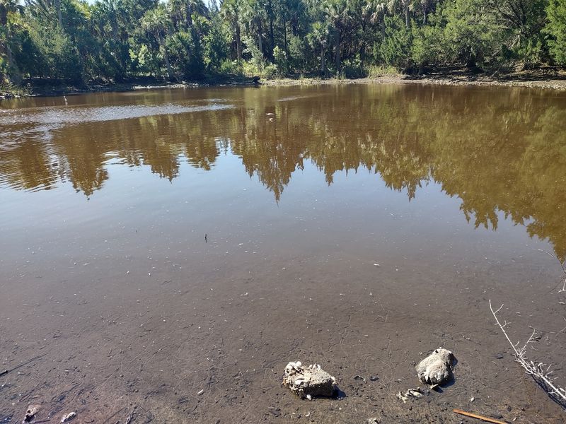 Three Hidden Ponds Await Explorers