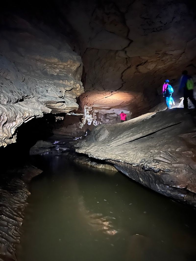 Wildlife Lives In The Darkness