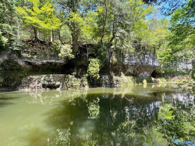 Birdwatching Paradise