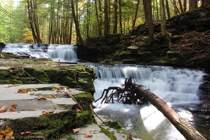 Three Small Waterfalls Cascade Through Fall Brook Gorge