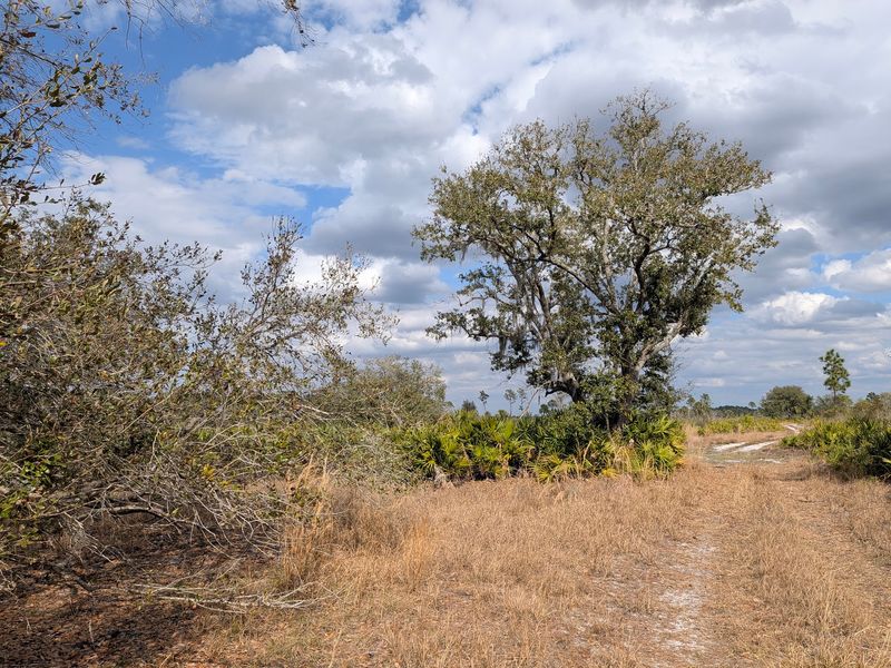 Three Trails, Nine Miles, And Room For Horses Too