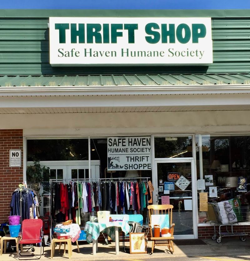 Thrifting With A Purpose