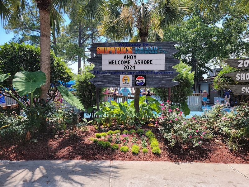 Tropical Theming Throughout The Park