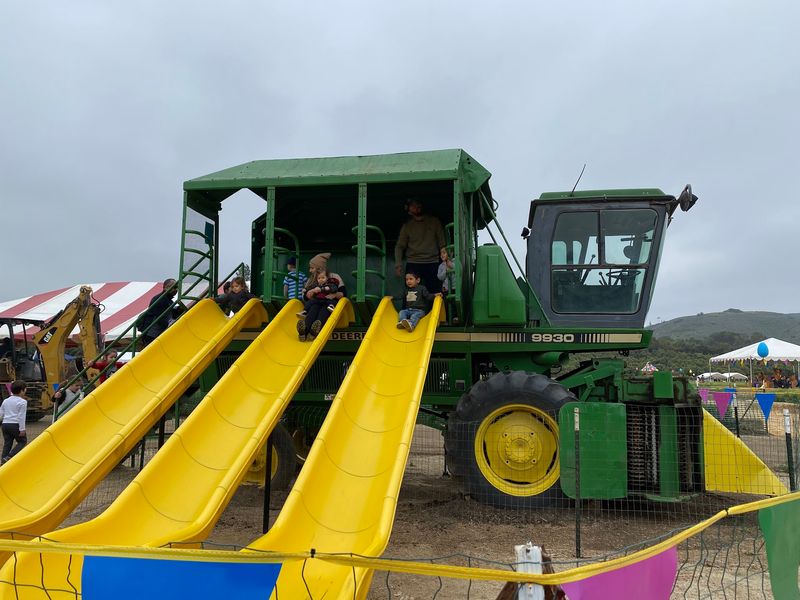 Thrilling Rides And Play Areas For Every Age