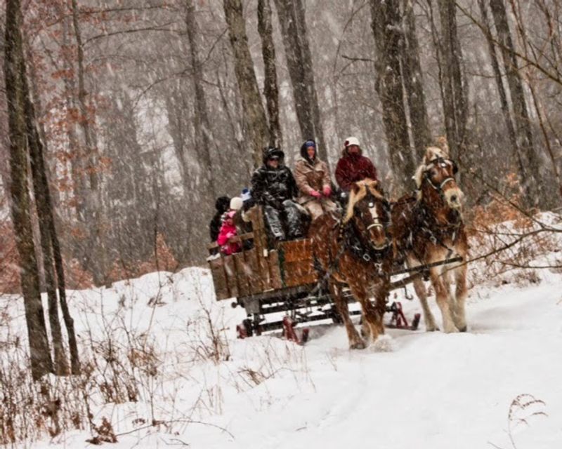 Four Green Fields Farm, Rodney