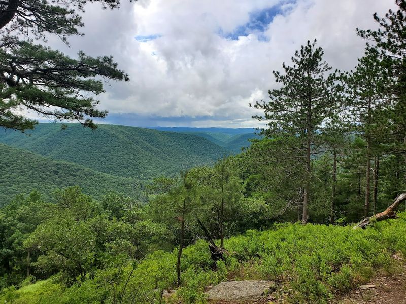 Thunder Mountain Equestrian Trail, Elk State Forest, Pennsylvania