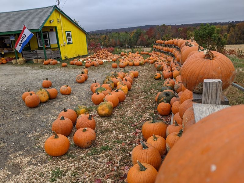 Thunder Road Farm Produce Stand, Corinna