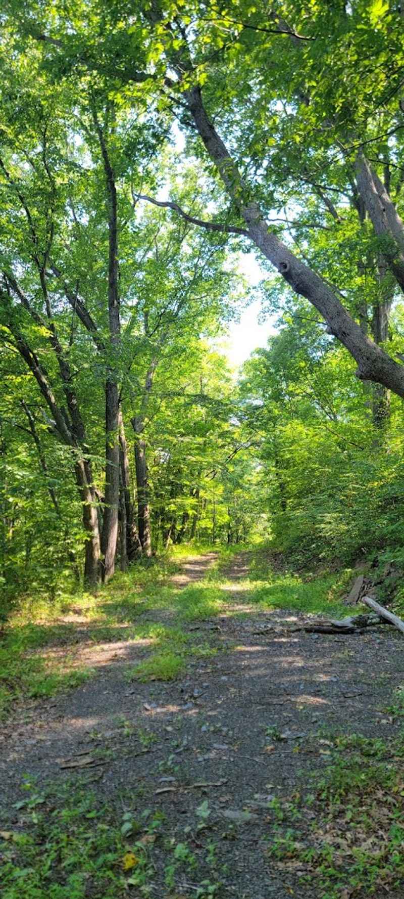 Mid State Trail, Central Pennsylvania