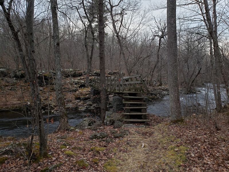 Thunder Swamp Trail, Delaware State Forest