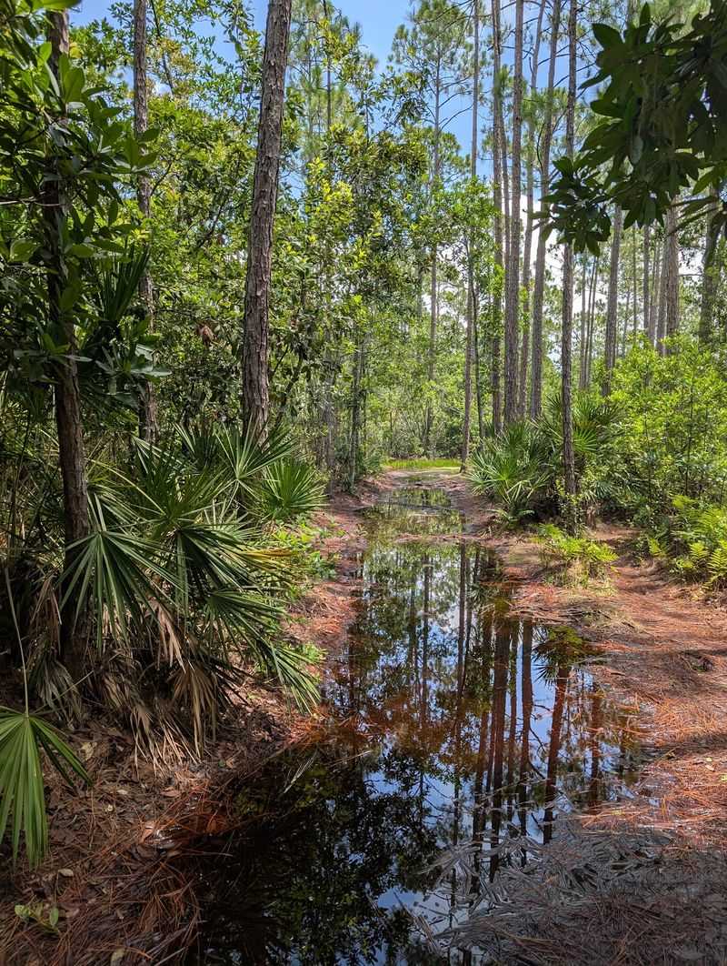 Tibet-Butler Nature Preserve, Orlando