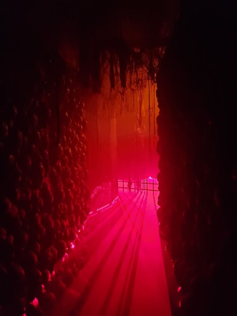 A Haunt That Grows And Improves Every Single Season