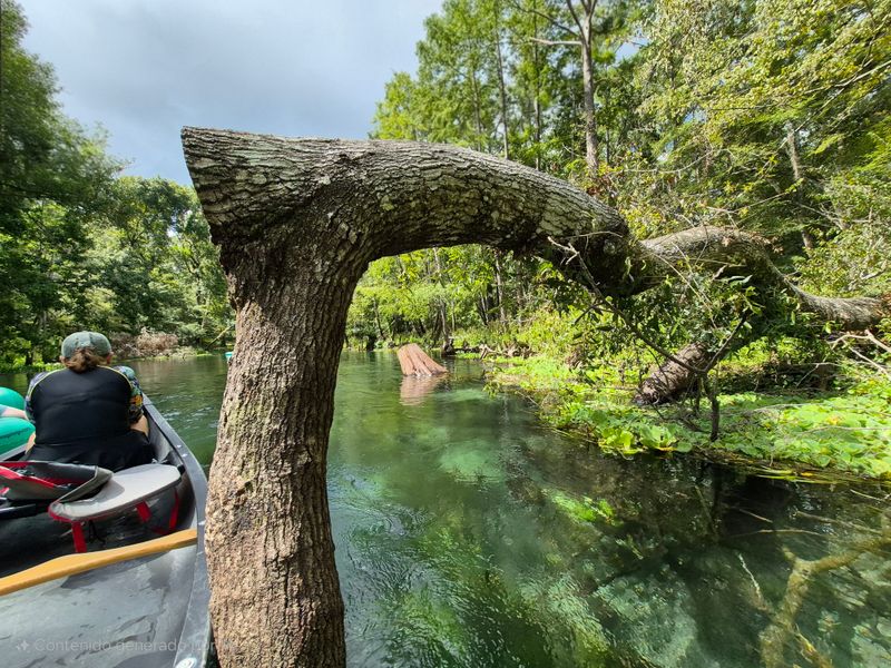 How 72 Degrees Feels On A July Afternoon