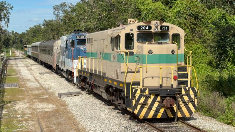 Hours, Best Times, And Helpful Tips