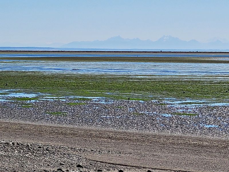 Tide Charts Matter More Than Trail Maps
