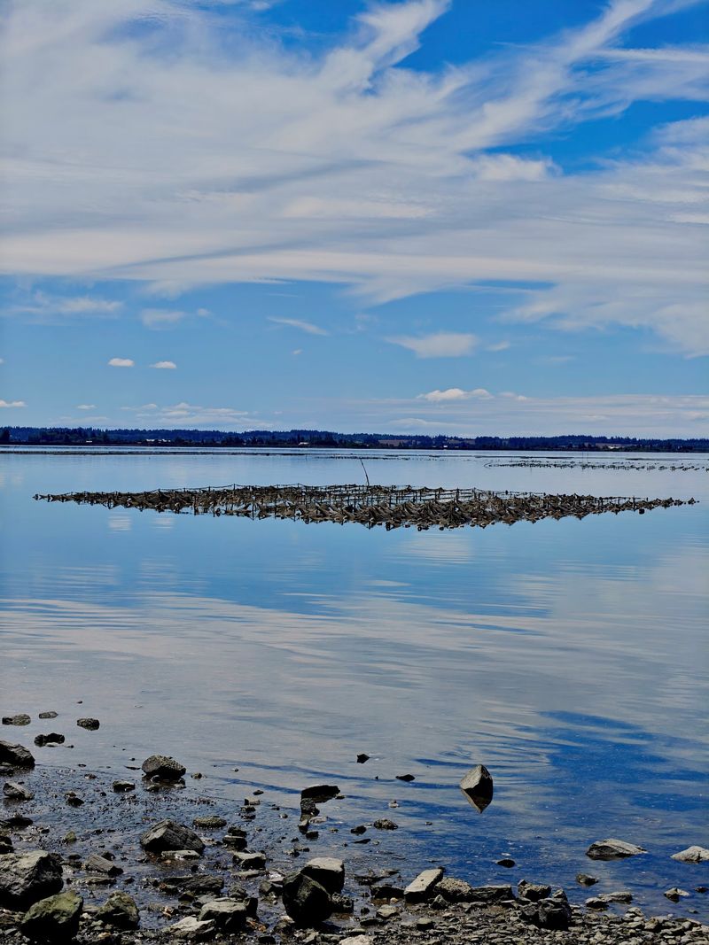 Tide Flats That Double As The Main Show