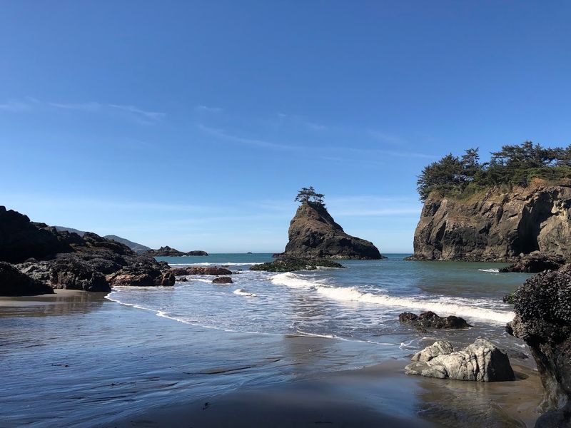 Tide Pools Bursting With Ocean Life