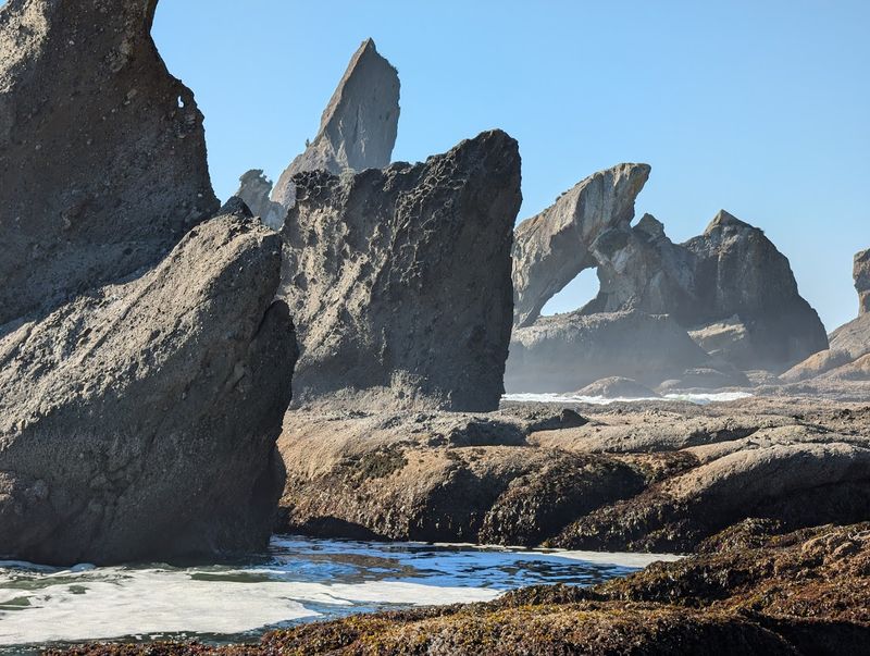 Tide Pools Teeming With Life