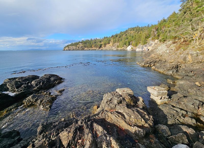 Tide Pools for Little Explorers