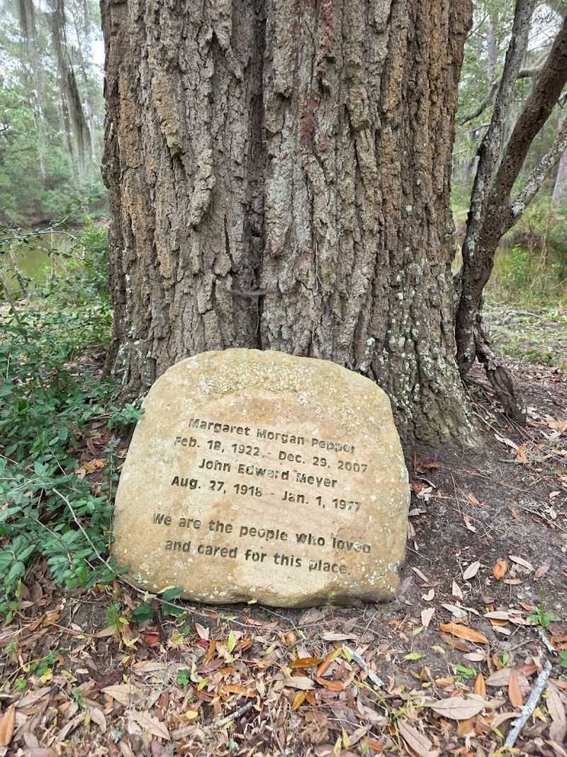 No Shell Collecting Allowed