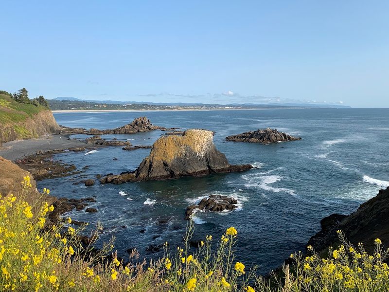 Tidepooling Adventures That Reveal A Secret Ocean World Tidepooling Adventures That Reveal A Secret Ocean World