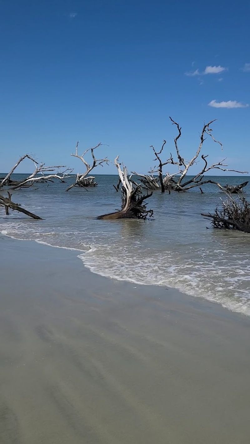 Tides, Timing, and Why Your Visit Schedule Really Matters Tides, Timing, and Why Your Visit Schedule Really Matters