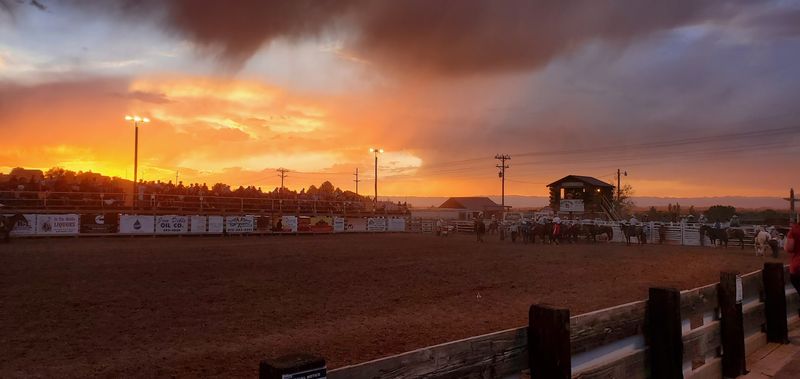Tie-Down Roping Tests Speed and Precision Together