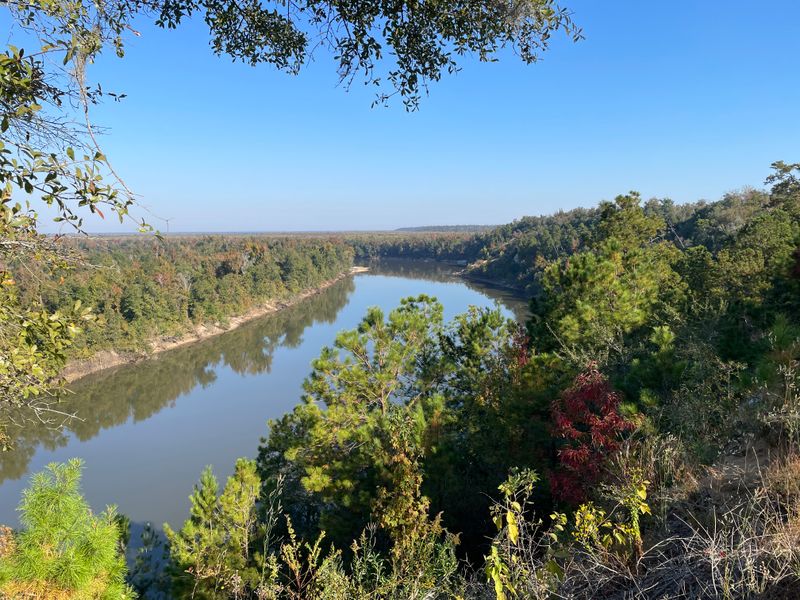 Apalachicola Bluffs and Ravines Preserve — Bristol