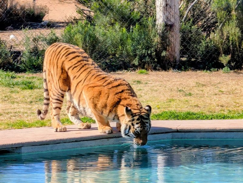 Free-Roaming Wildlife Habitats