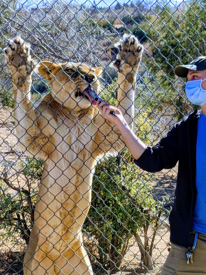 Hand-Feeding Experiences That Close The Distance